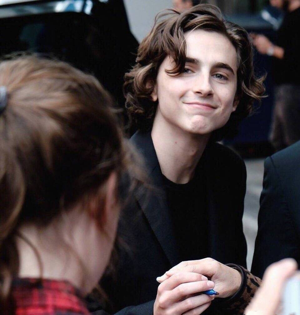 蒂莫西·柴勒梅德Timothée Chalamet，甜茶，头像，壁纸