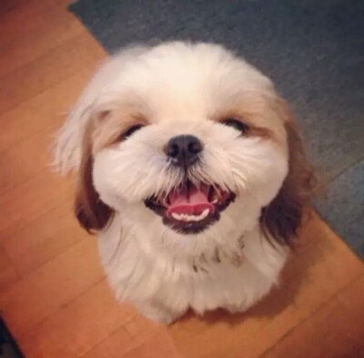 。