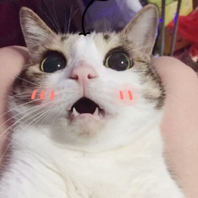 。
