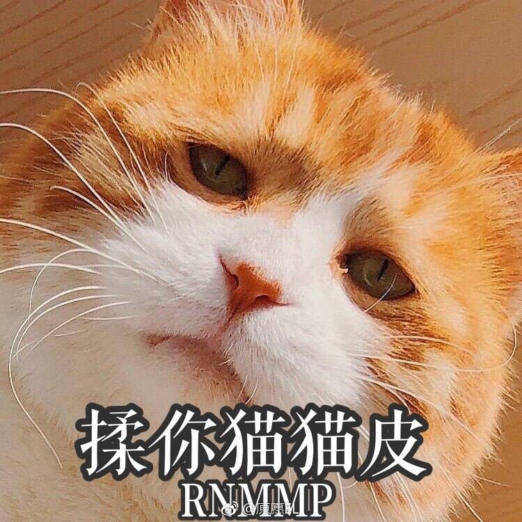 表情包