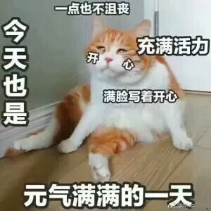 表情包