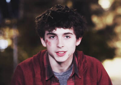 蒂莫西·柴勒梅德Timothée Chalamet，甜茶，头像，壁纸