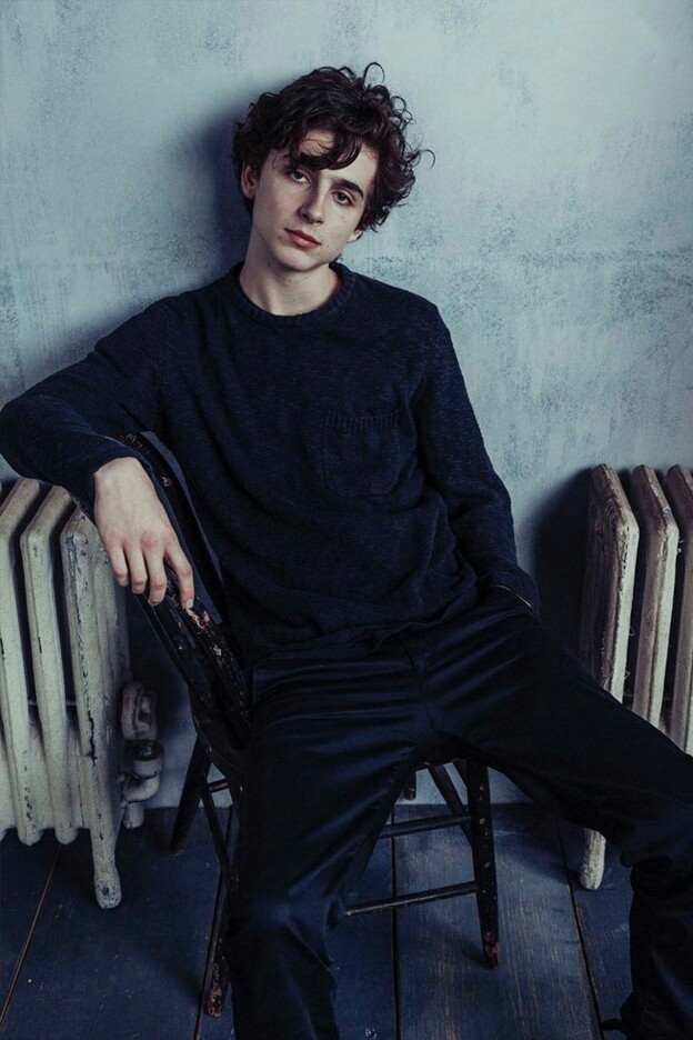 蒂莫西·柴勒梅德Timothée Chalamet，甜茶，头像，壁纸