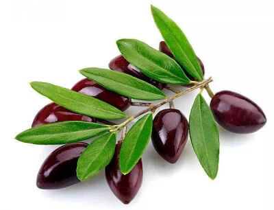 希腊产的当水果吃的橄榄，微苦后甜的。外皮为紫色