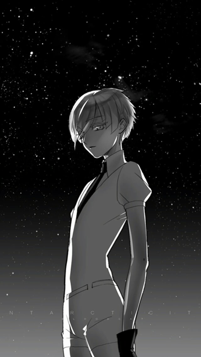 宝石之国南极石