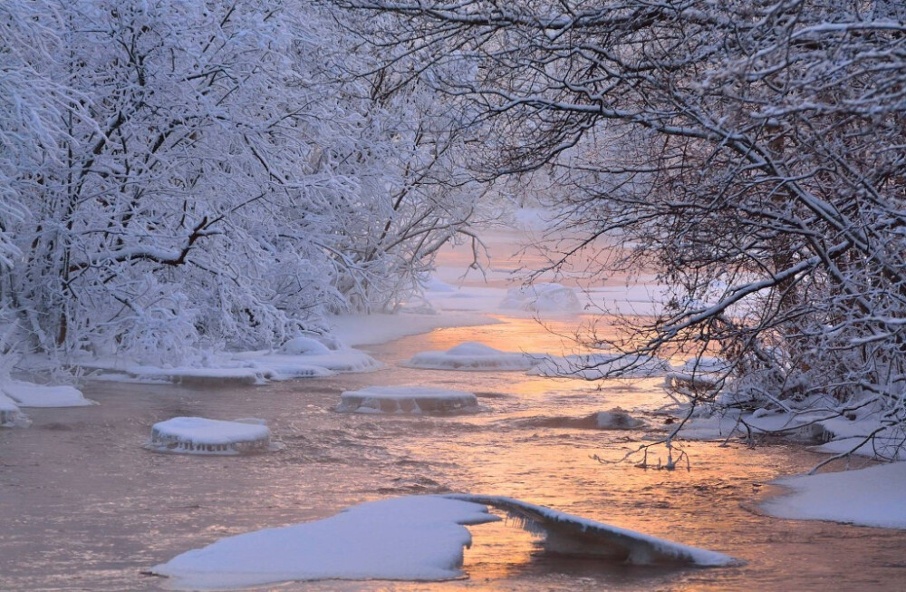 霁雪新澄