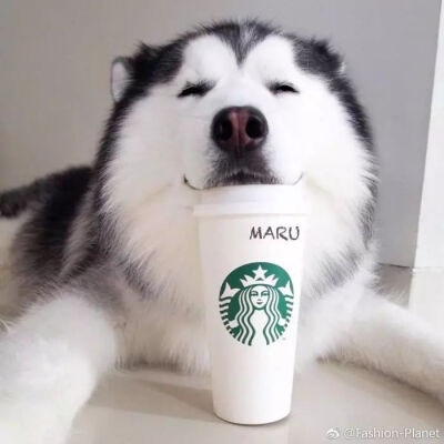 。