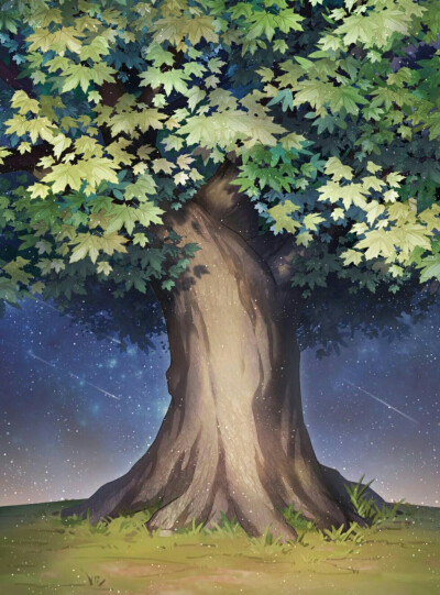 场景 星辰之愿