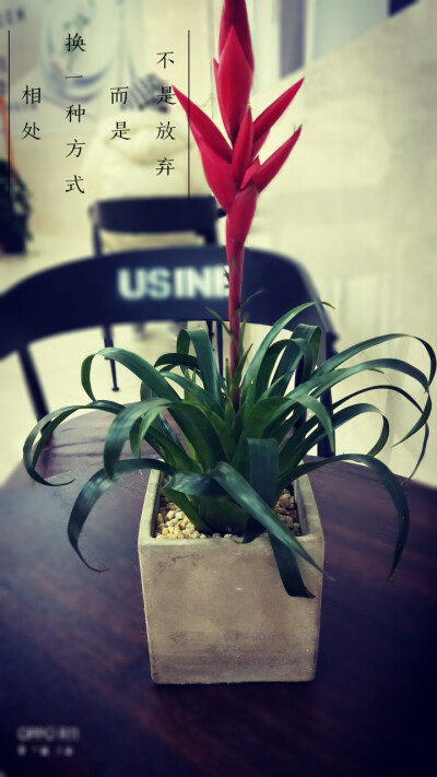 不是放弃，而是…