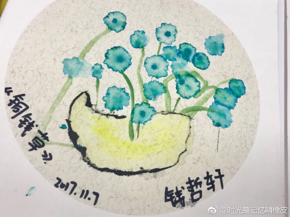 铜钱草