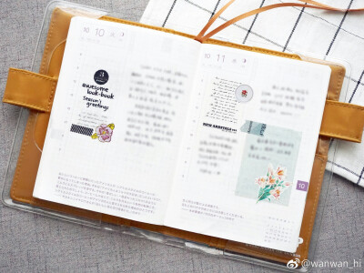 图片来源于网络 出处见水印 仅供参考