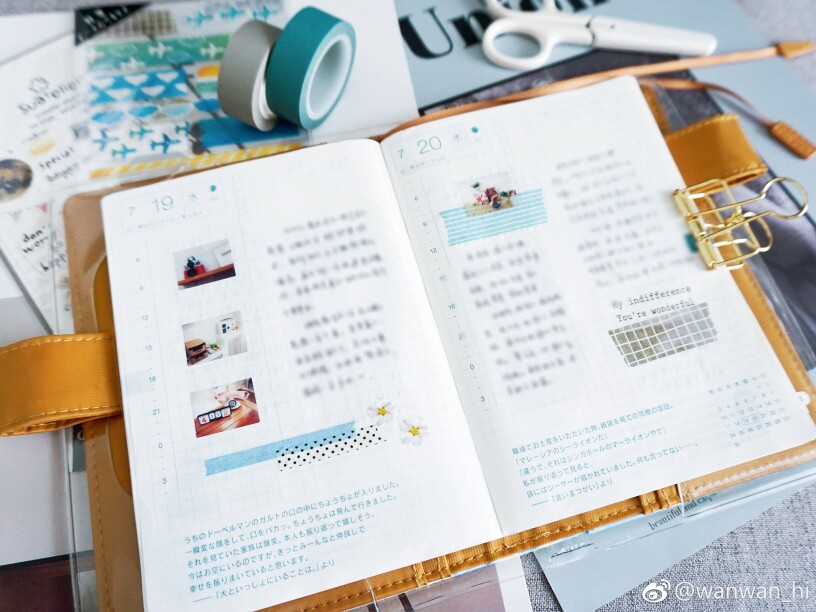 图片来源于网络 出处见水印 仅供参考