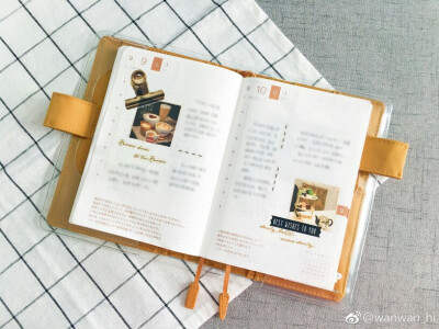 图片来源见右下角水印