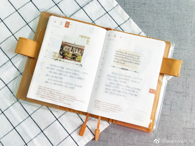 图片来源见右下角水印