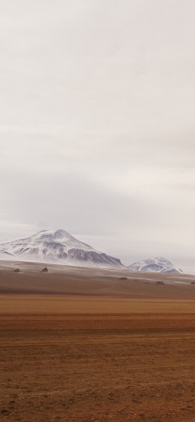 风景