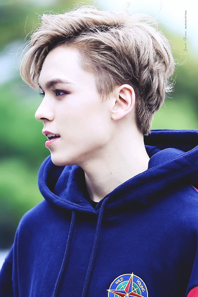 SEVENTEEN Vernon
本名Hansol Vernon Chwe/崔韩率