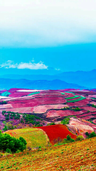 云南最值得去的美景
东川红土地，远远看去，就像上天涂抹的色块，色彩绚丽斑斓，衬以蓝天、白云和那变幻莫测的光线，构成了红土地壮观的景色。@好看