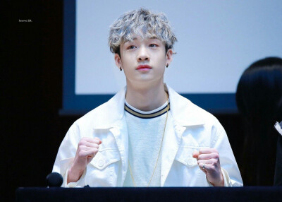 Stray Kids 方灿（Bang Chan）