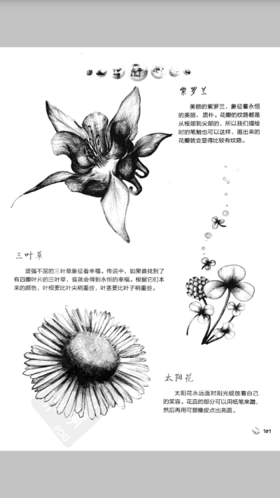 线描素稿