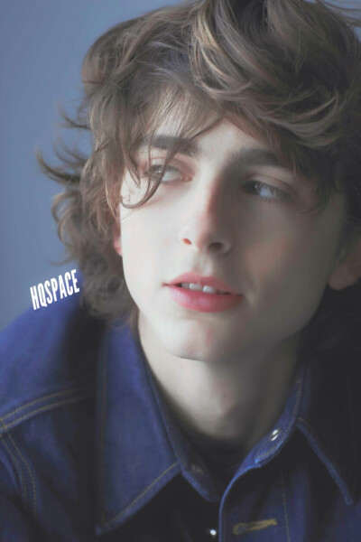 蒂莫西·柴勒梅德Timothée Chalamet，甜茶，头像，壁纸