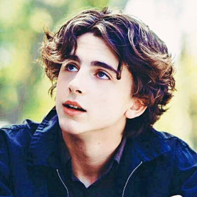 蒂莫西·柴勒梅德Timothée Chalamet，甜茶，头像，壁纸