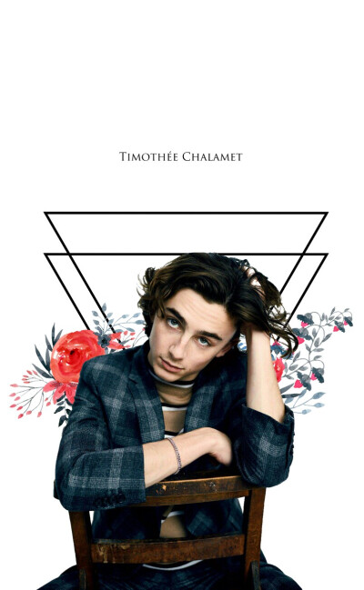 蒂莫西·柴勒梅德Timothée Chalamet，甜茶，头像，壁纸