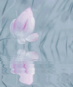 动态之美——云图