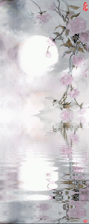 动态之美——云图