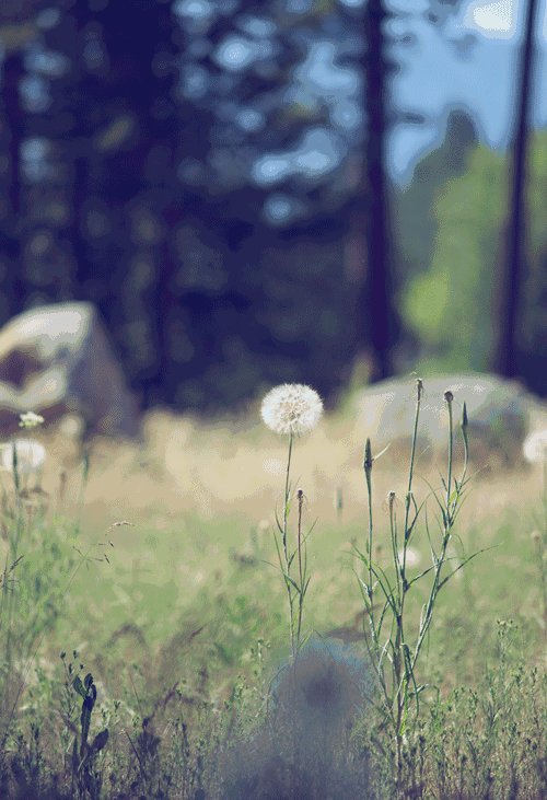 动态之美——云图