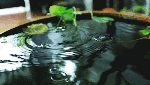 动态之美——云图