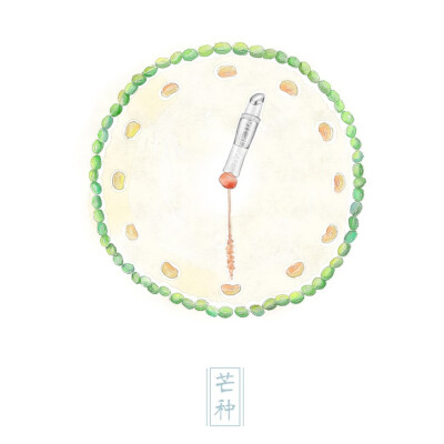 梦里飞猪 · 二十四节气——芒种