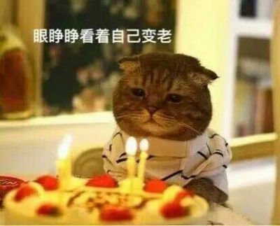 生日快乐 生日 表情包