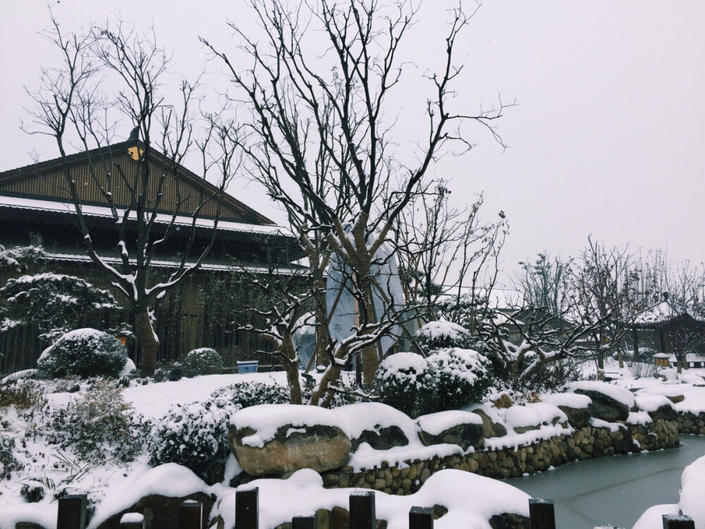 雪后的诗经里 人很少