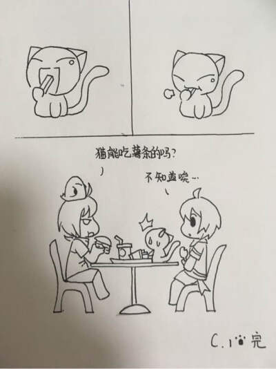 猫是能吃薯条的吗？