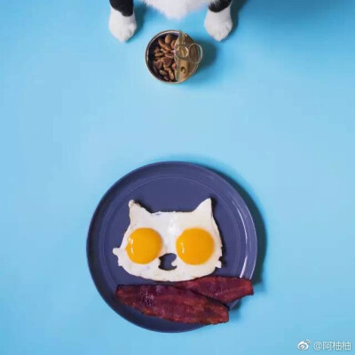 摄影师Hugo Martinez 和他的奶牛猫Cheeto～默默萌一脸