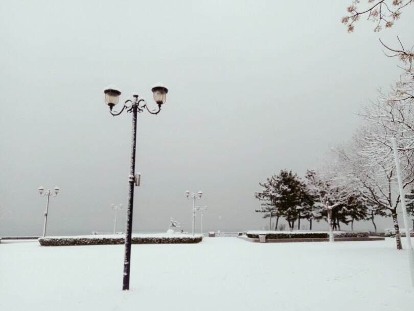 2017年的最后一天，威海下了一场大雪，清早起床，匆匆忙来到海边，环卫工人还未来得及打扫，洁白的地面不忍心去踩下一个脚印。