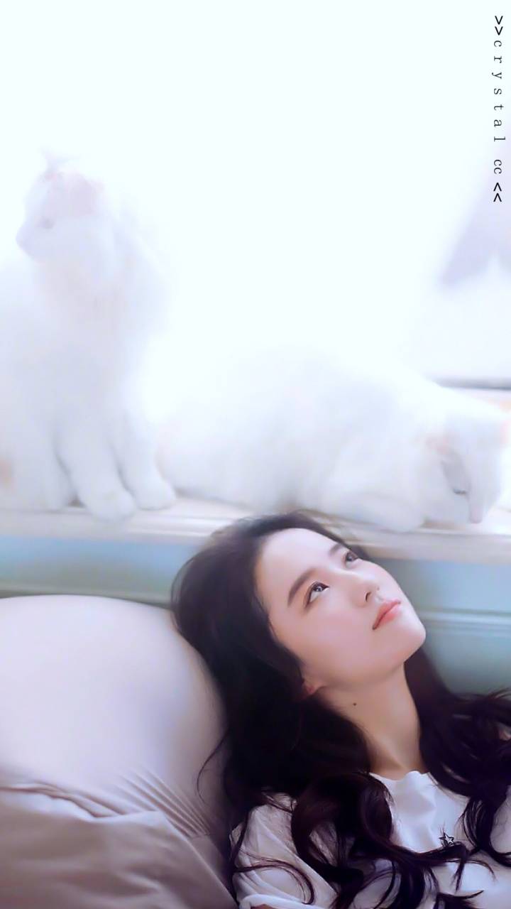 刘亦菲 茜茜与猫的写真