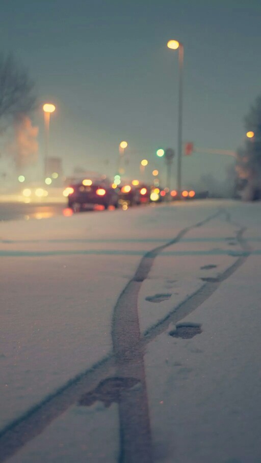 雪景壁纸