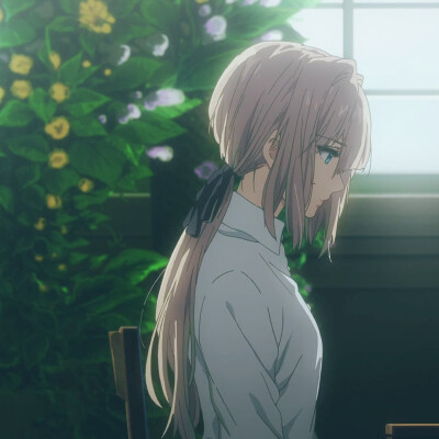 紫罗兰永恒花园
自截 有的弄了滤镜