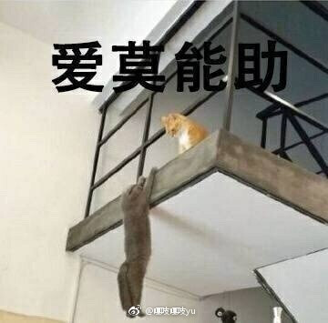 可以多图发布啦哈哈哈 