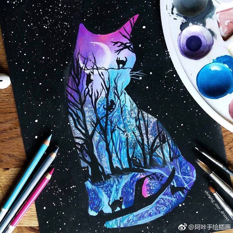 星空猫