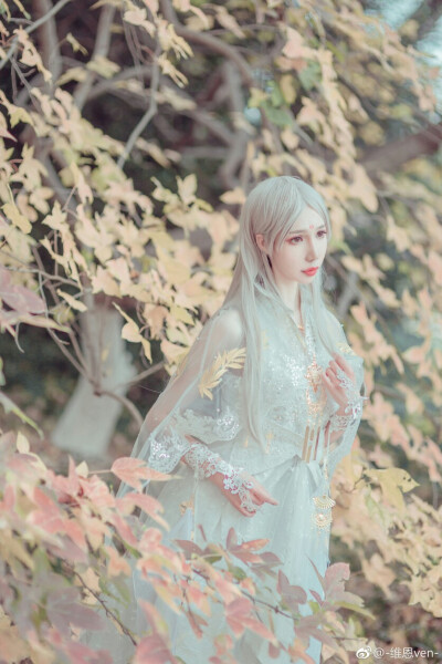 七秀时装cos
coser：维恩ven