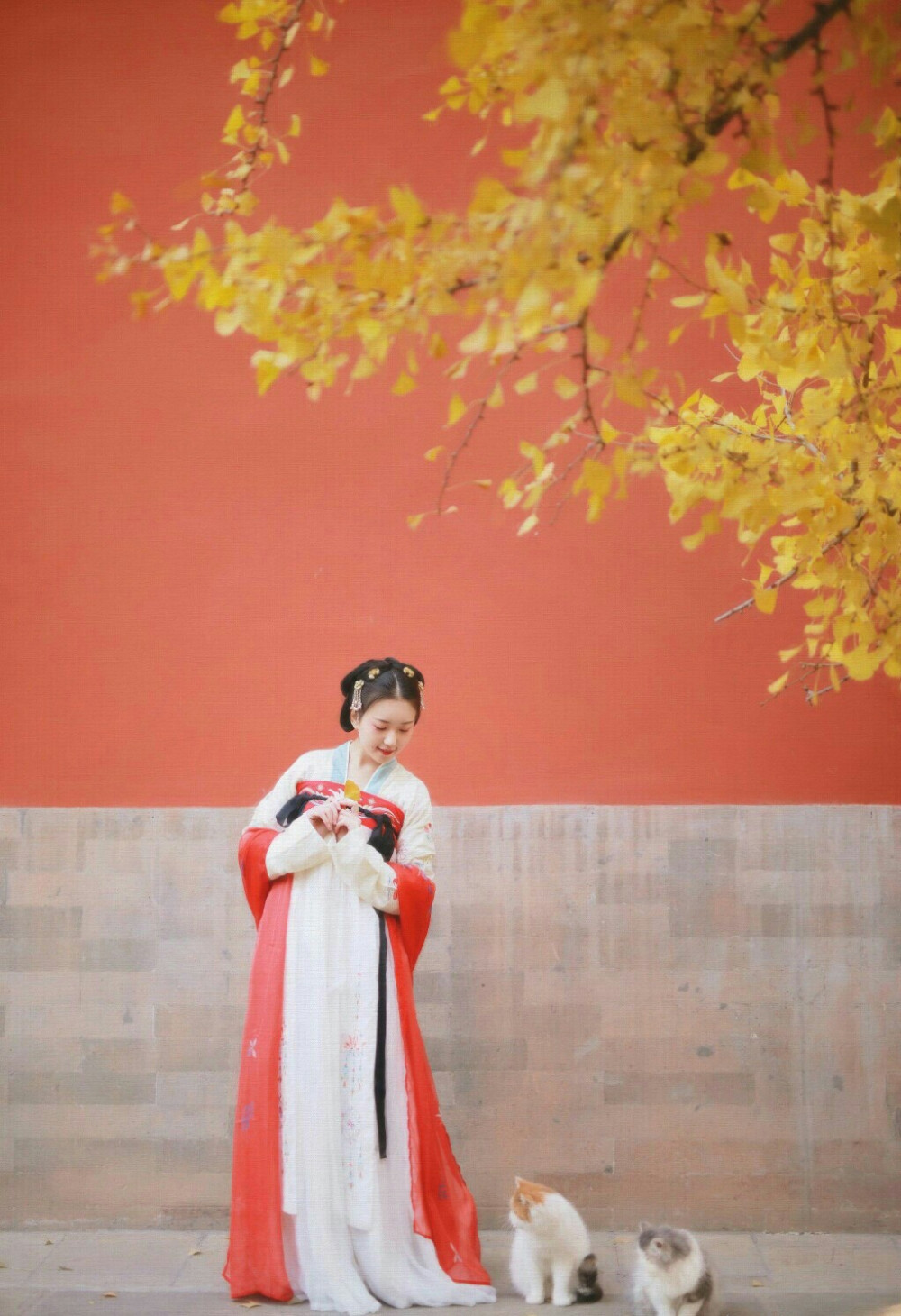 汉服
出镜@竹大宝Chiki