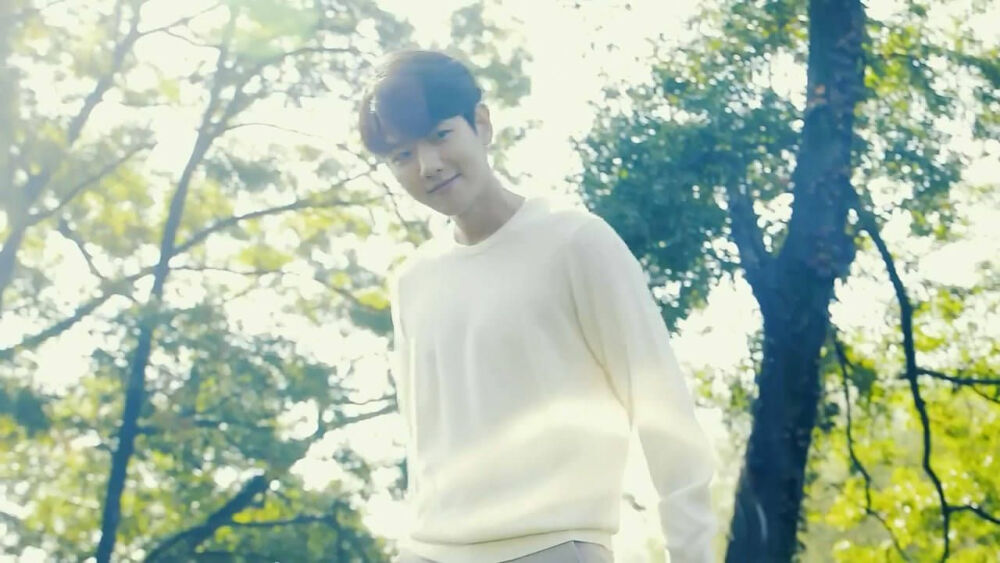 边伯贤 BAEKHYUN EXO Nature Republic