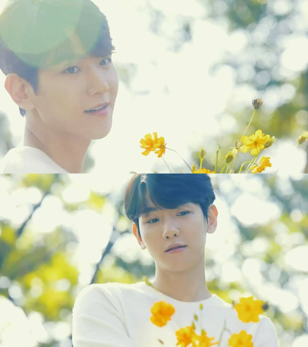 边伯贤 BAEKHYUN EXO Nature Republic