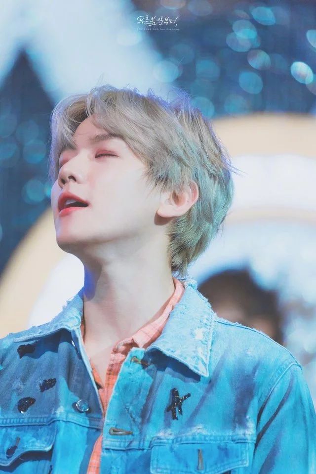 边伯贤 BAEKHYUN EXO