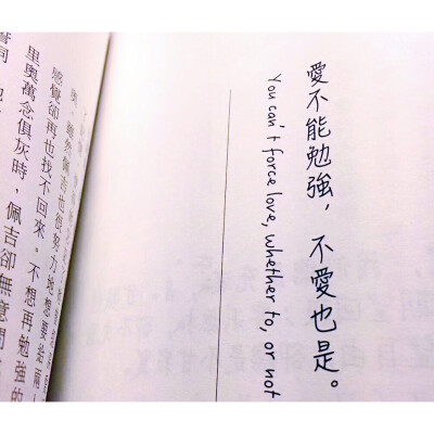 世中仙儿の
文字背景［图文］