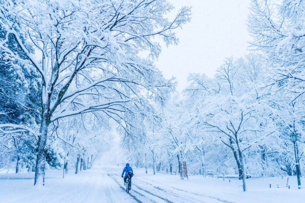 日本•和风日志
早上的北海道大学，纯净的世界，简直梦幻般的场景~
by：日本新鲜事