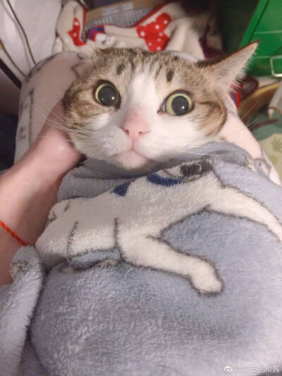 瓜皮♥萌萌＃情头