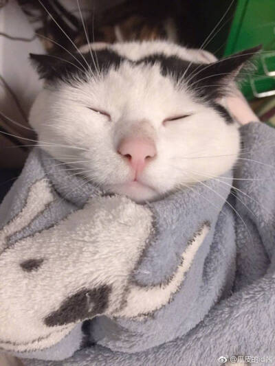 瓜皮♥萌萌＃情头